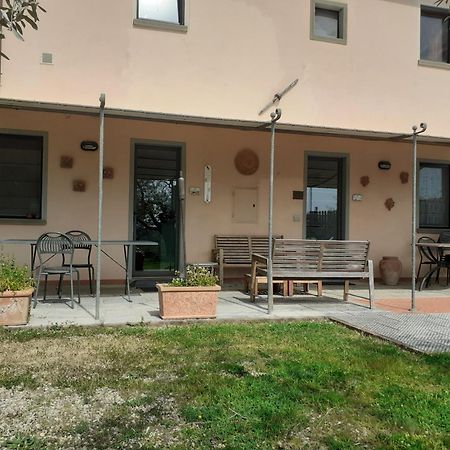 فينشي Agriturismo Podere Zollaio المظهر الخارجي الصورة