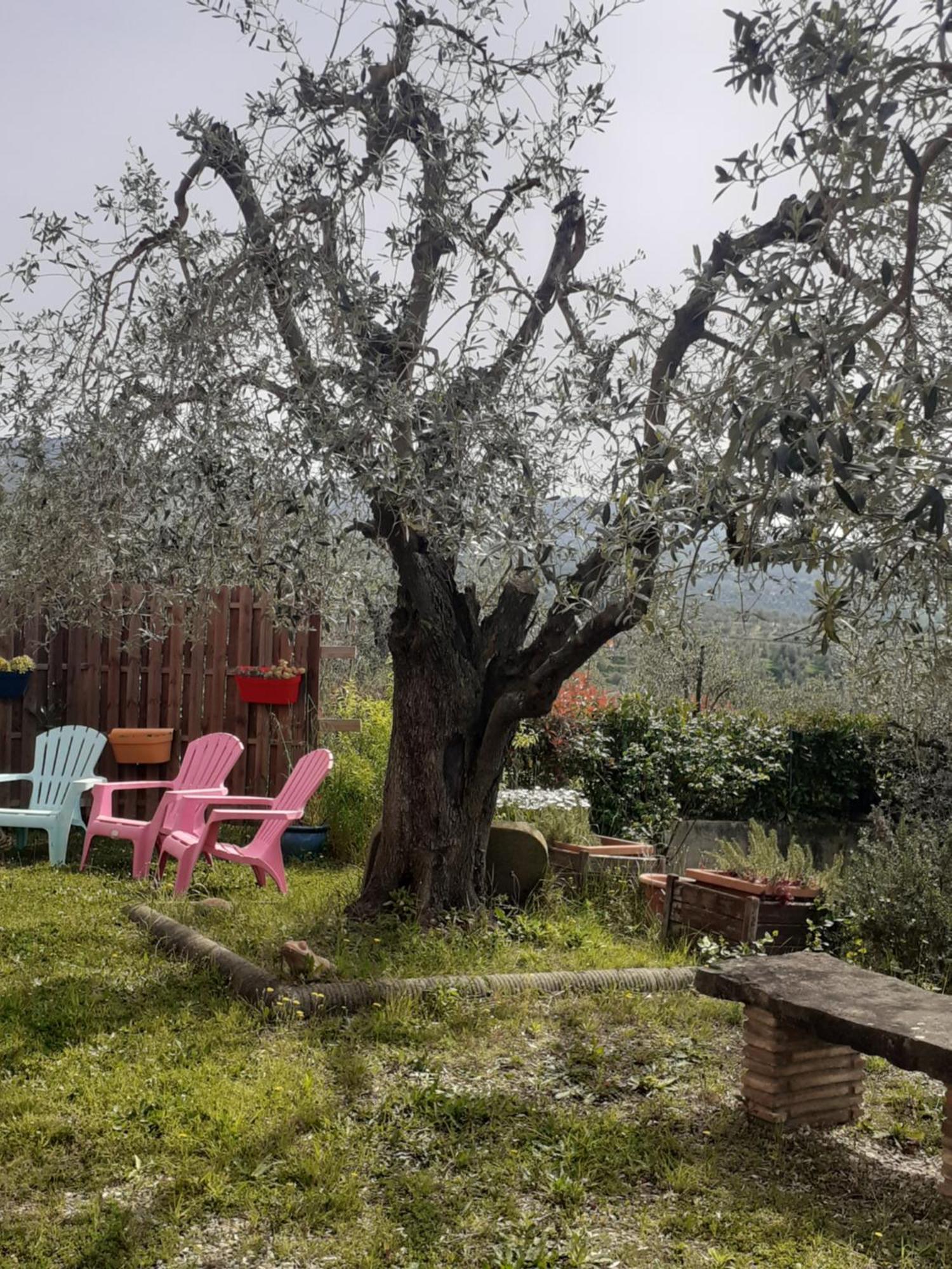 فينشي Agriturismo Podere Zollaio المظهر الخارجي الصورة